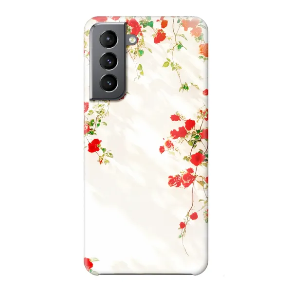 Sunlit Rose Wall Design Case