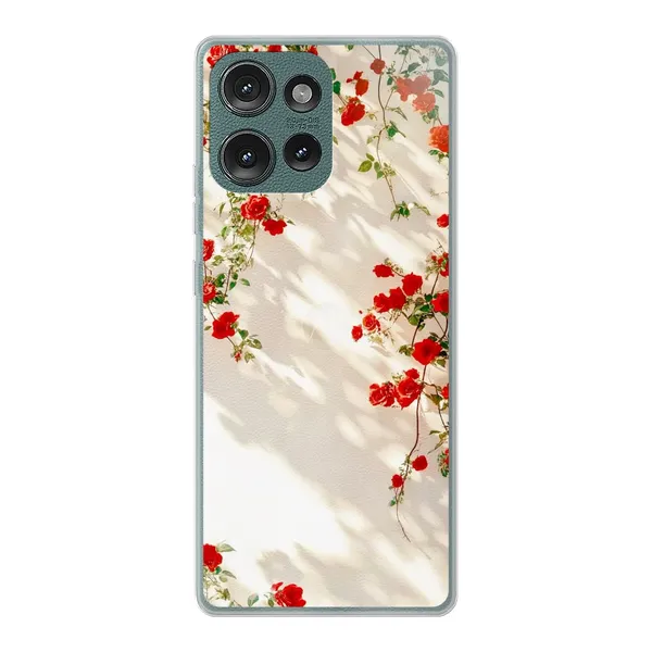 Sunlit Rose Wall Design Case