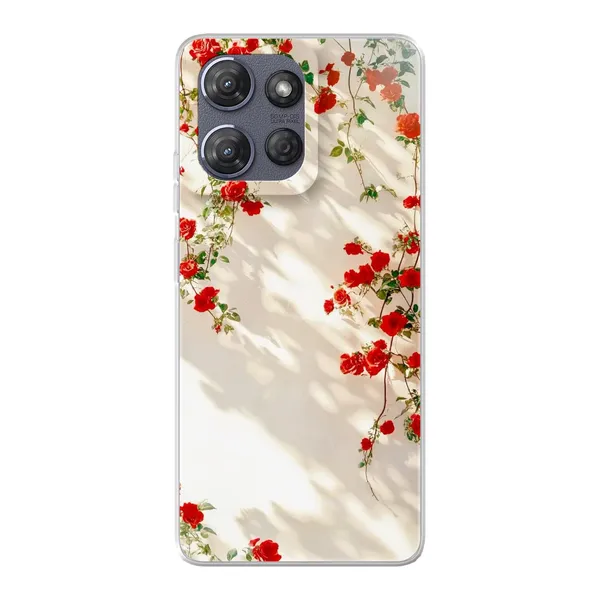 Sunlit Rose Wall Design Case