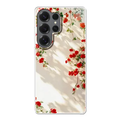 Clear case