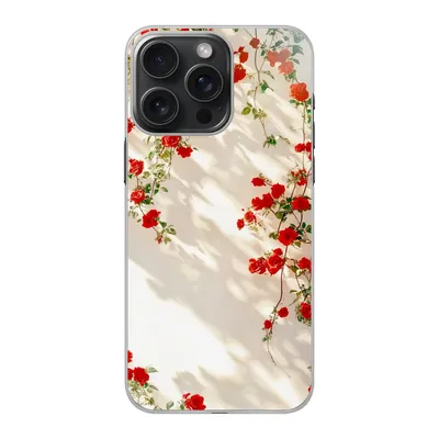 Transparent skal