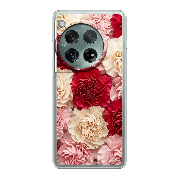 Carnation case