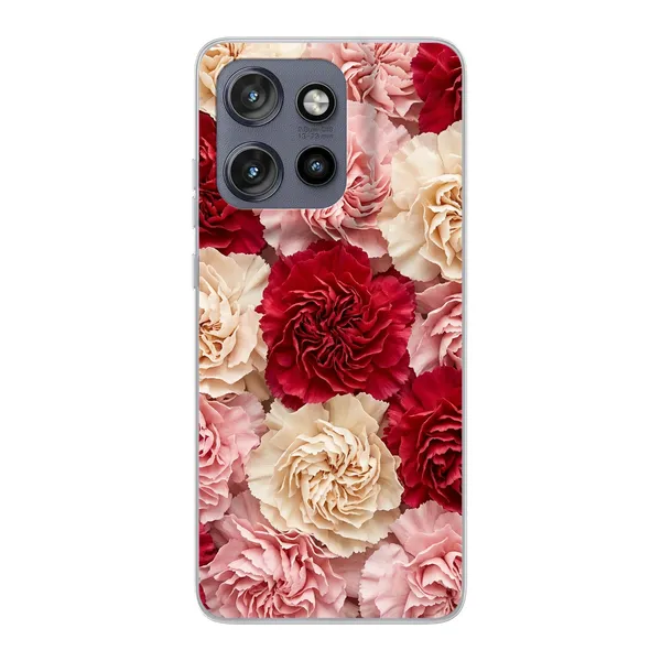 Carnation case