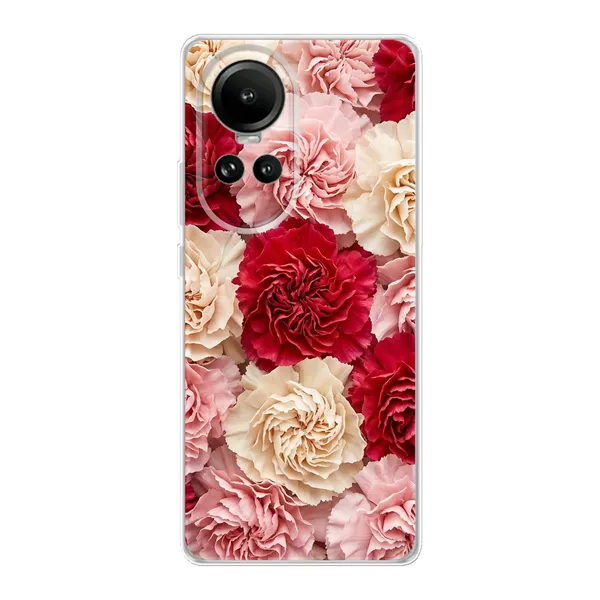 Carnation case
