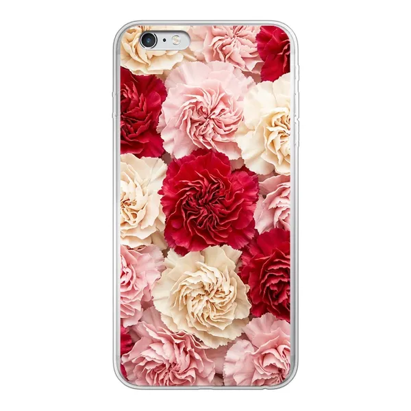 Carnation case
