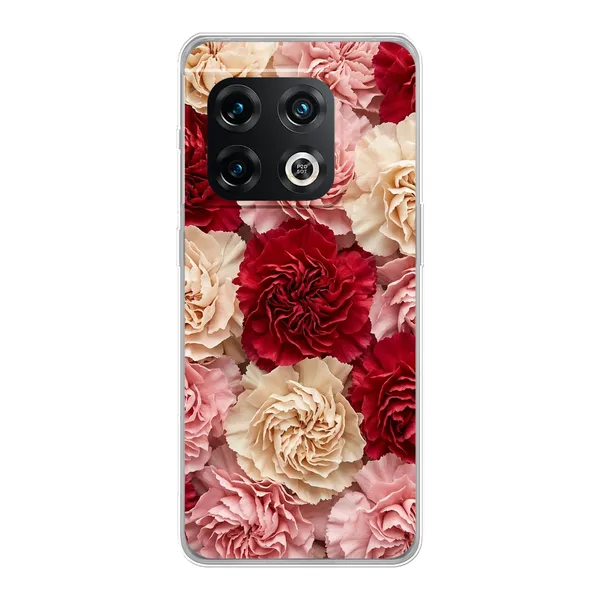 Carnation case