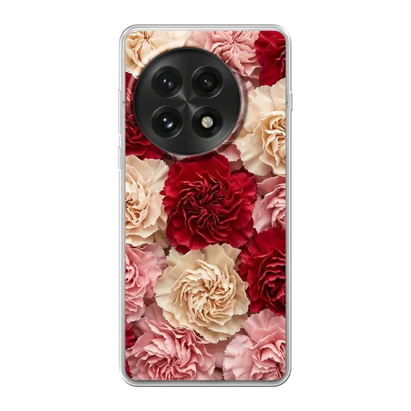 Carnation case