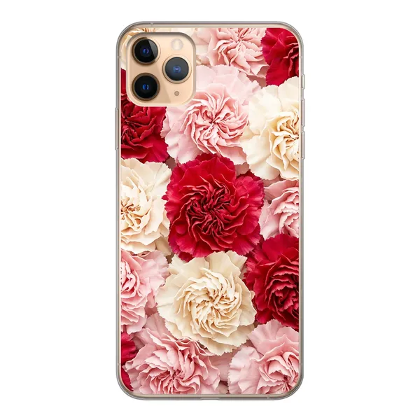Carnation case