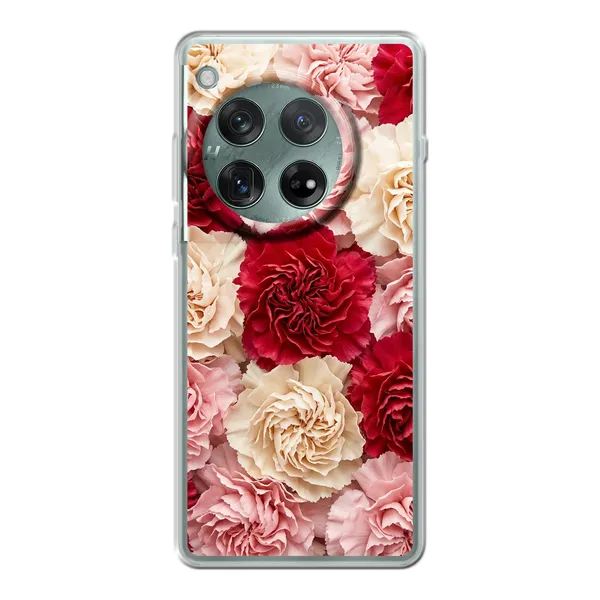 Carnation case