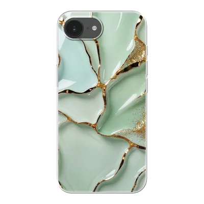 Clear case