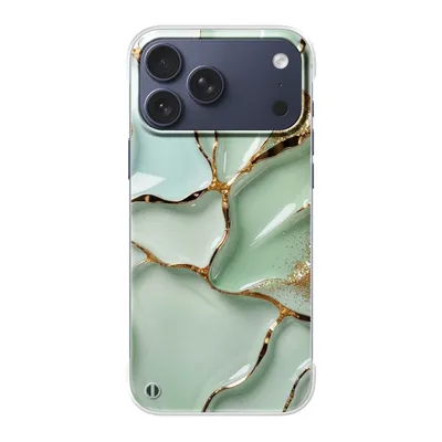 Clear case