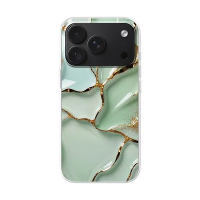 Clear case
