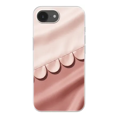 Clear case