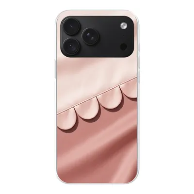 Clear case