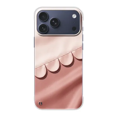 Clear case