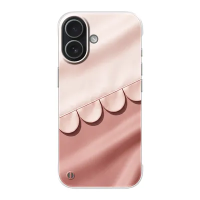 Clear case
