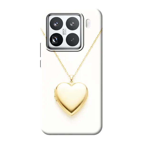 Gold Heart Locket case