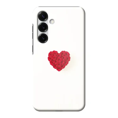 MagSafe robust skal