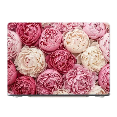 Hard case · Front printed, transparent