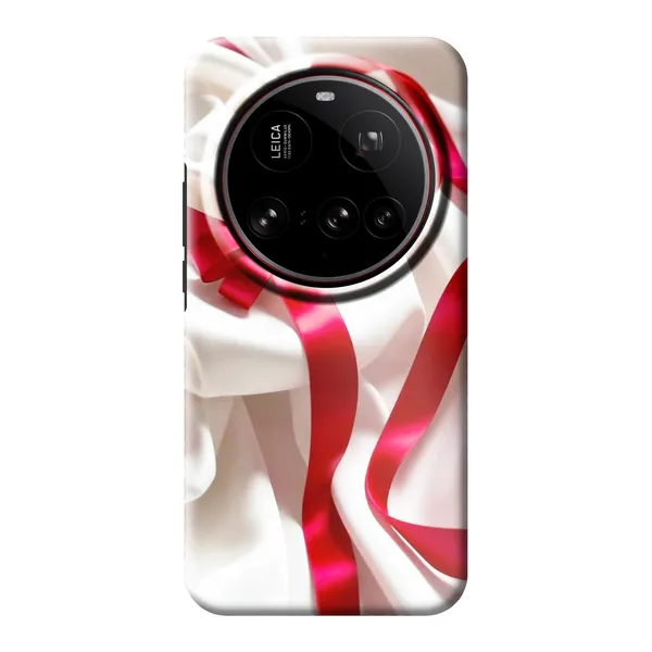 Silken Red Bow Case